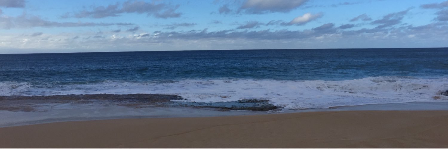 0pstr's profile banner image
