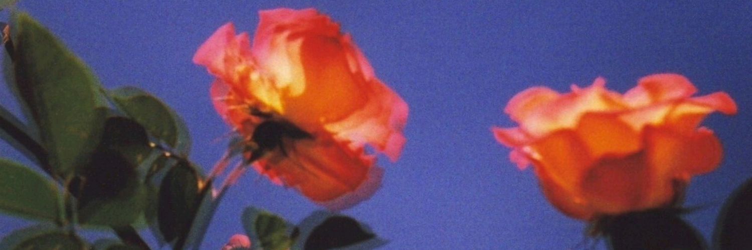 causticas's profile banner image