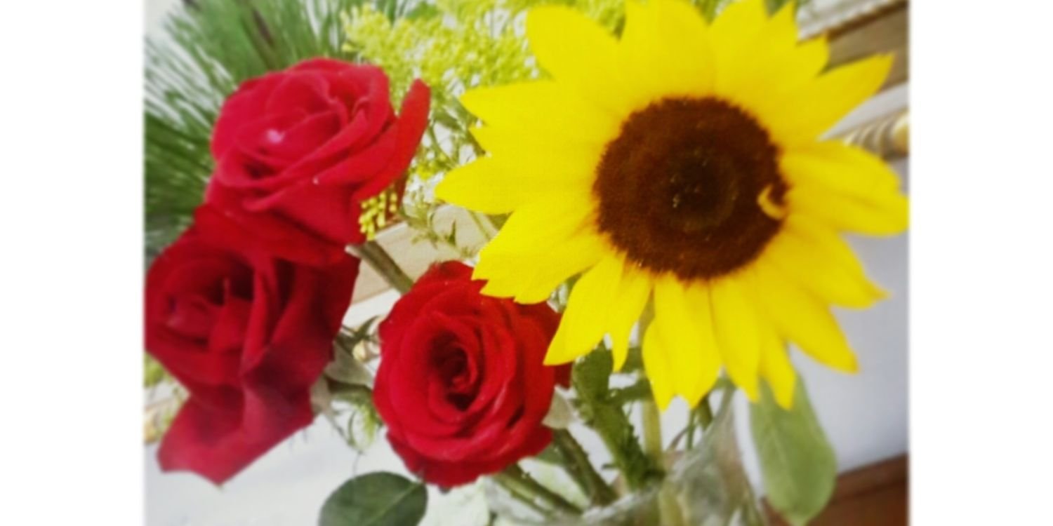 IsabelMateran's profile banner image