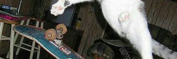 clbite's profile banner image