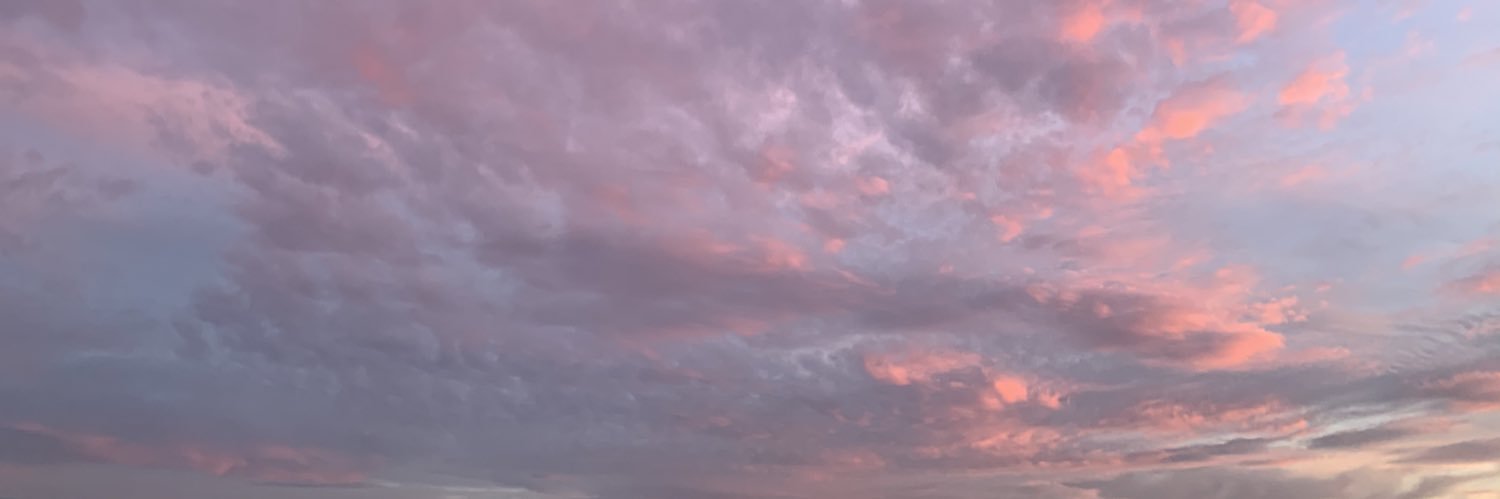 s_rushae's profile banner image