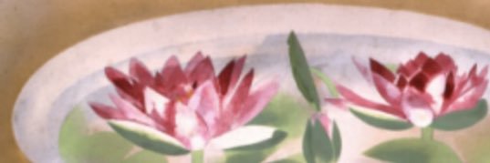 rin banner