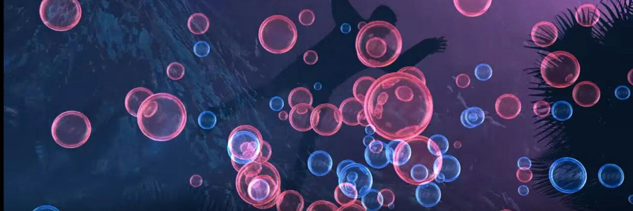 Chech_me's profile banner image