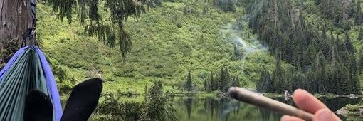 ᖴᒪᗝᖇᗴᑎᑕᎥᗩ banner