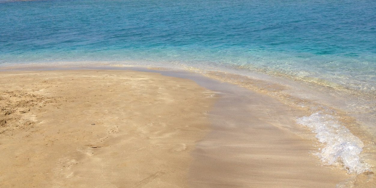 luciewilcox's profile banner image