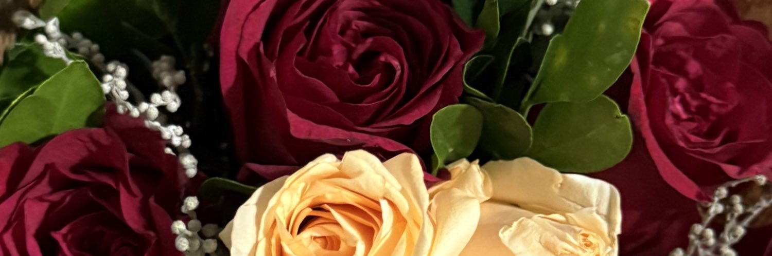 gabilopes100's profile banner image