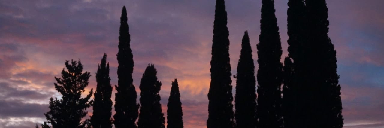 santibratti's profile banner image