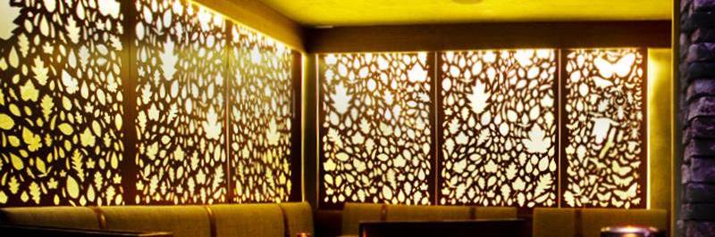 Lightwave Laser banner