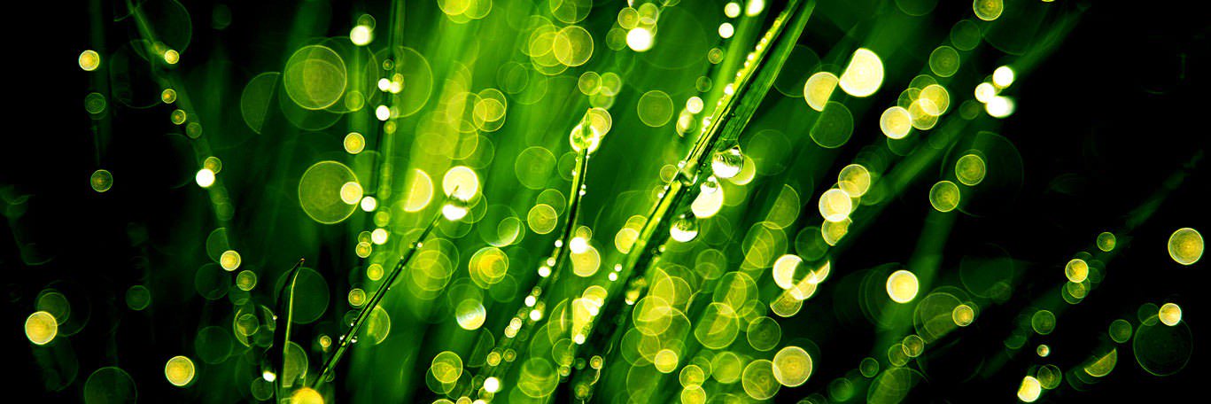 DigitalGroupCo's profile banner image