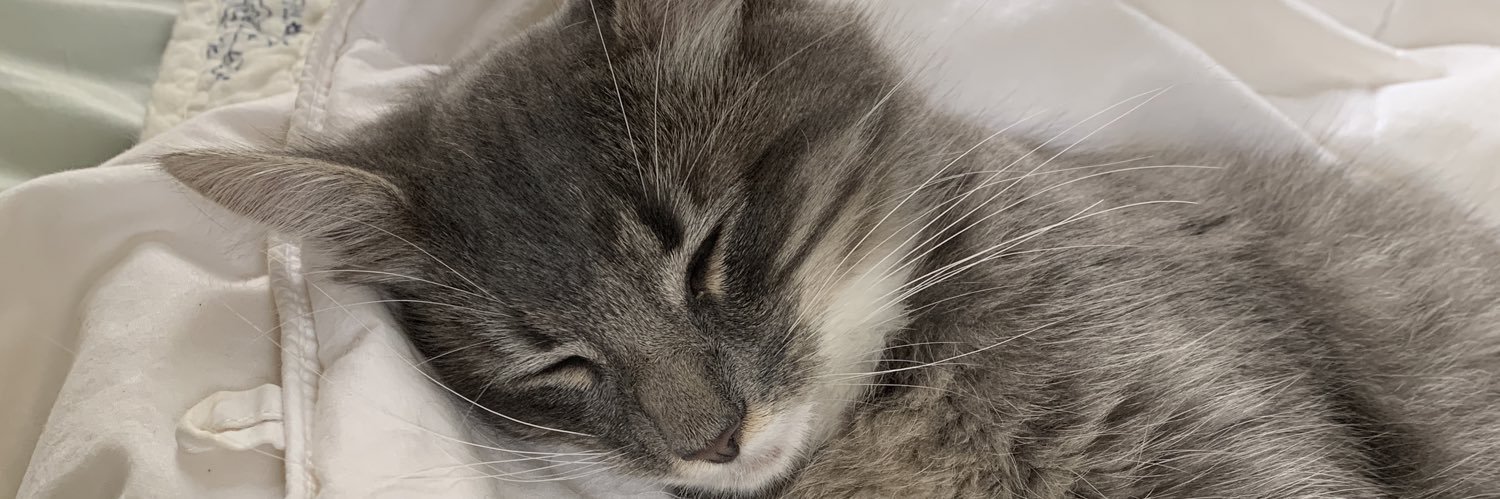 crossy67's profile banner image