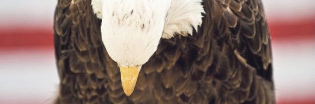 Liberal No Longer Conservative banner