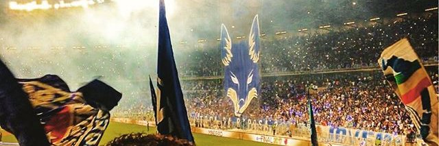 クレイドソン banner