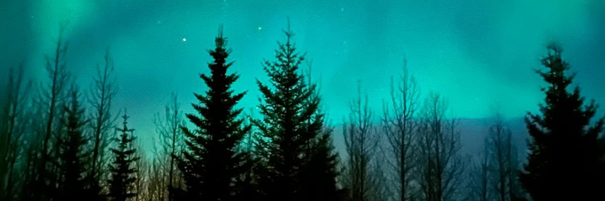 annaLrookes's profile banner image