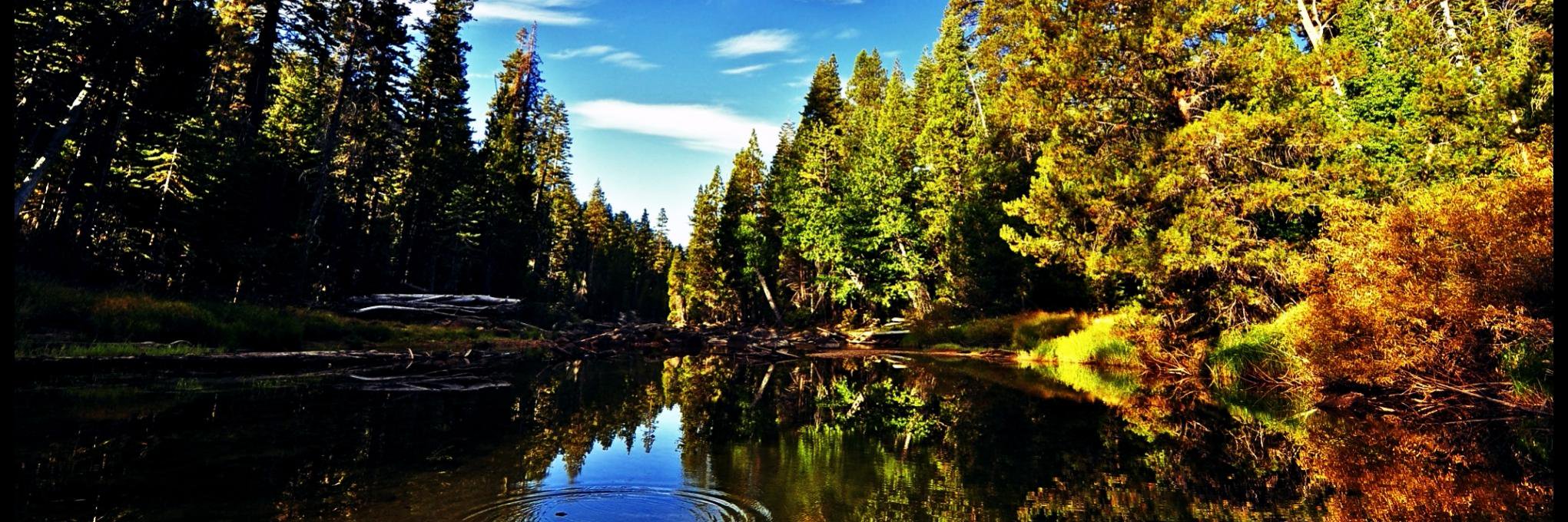 Confused Canuck banner