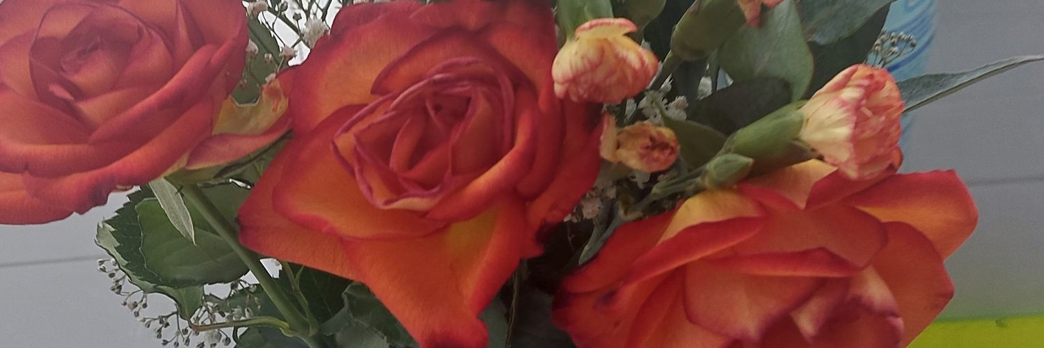 Mihaela618's profile banner image