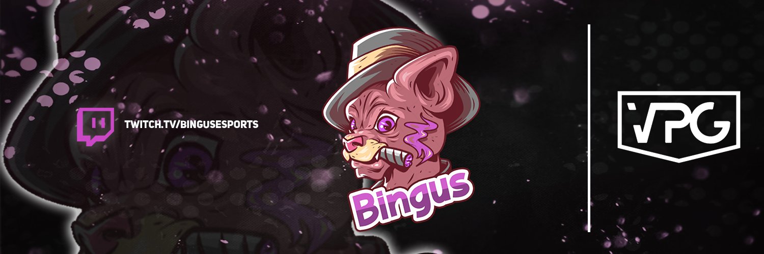 BINGUS ESPORTS banner
