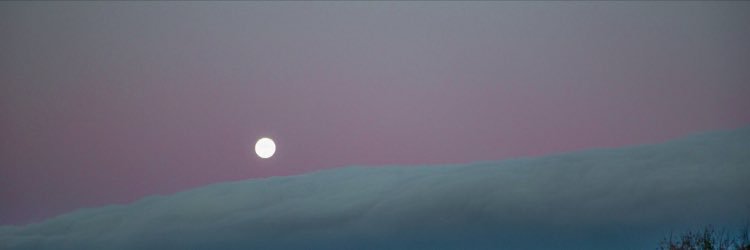 oddhyuna's profile banner image