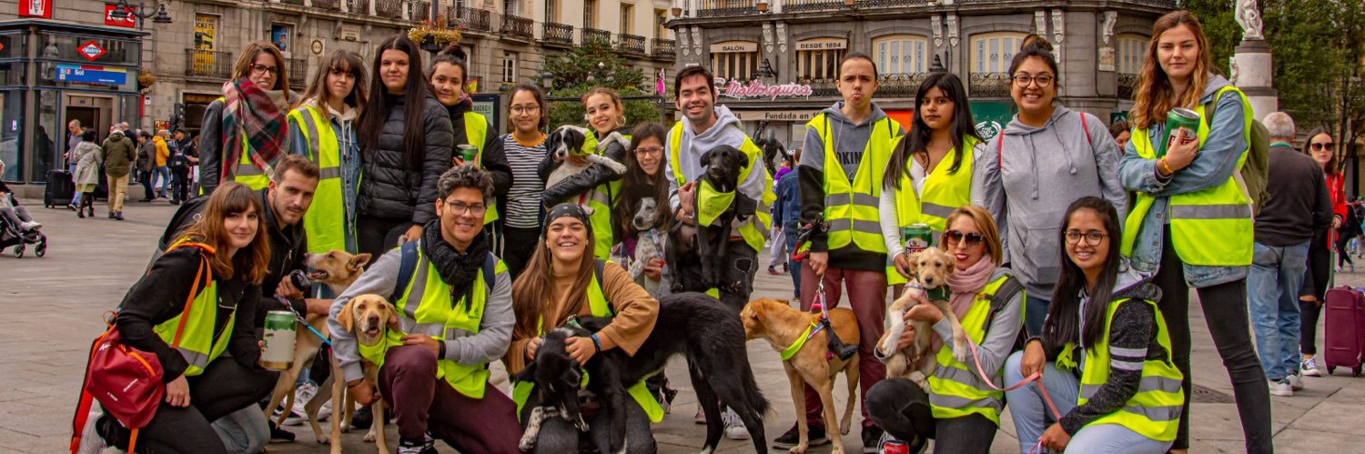 VIDA CON PERROS banner