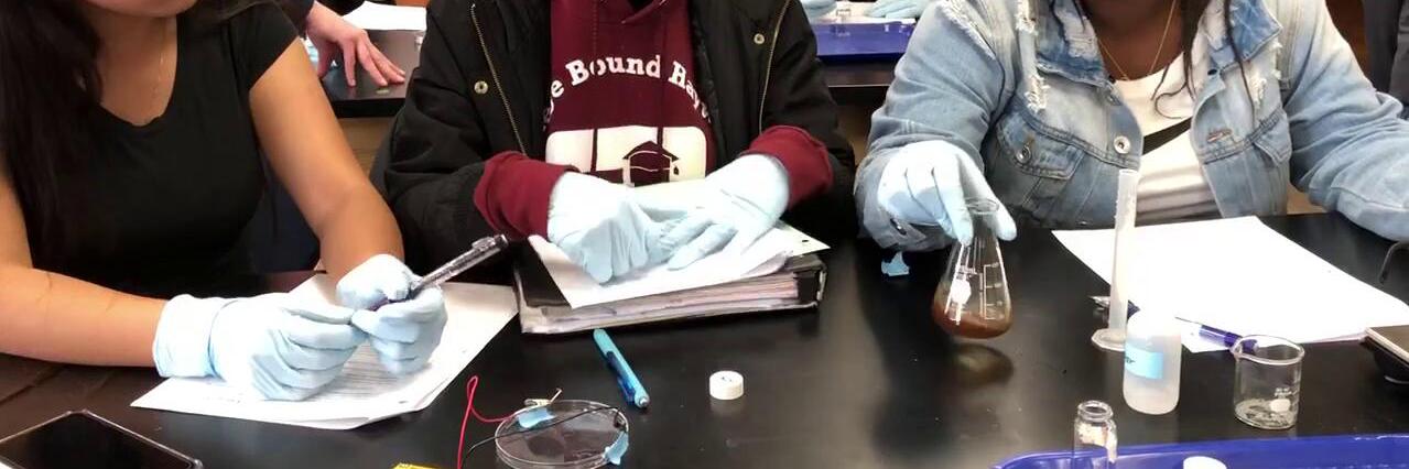 Dr. Amy banner