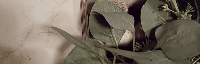 jipseco's profile banner image