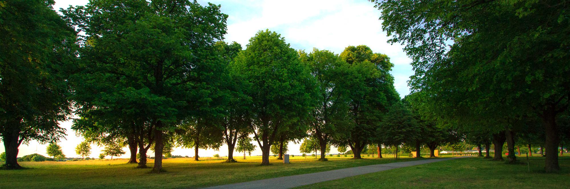 Soonwald_rlp's profile banner image