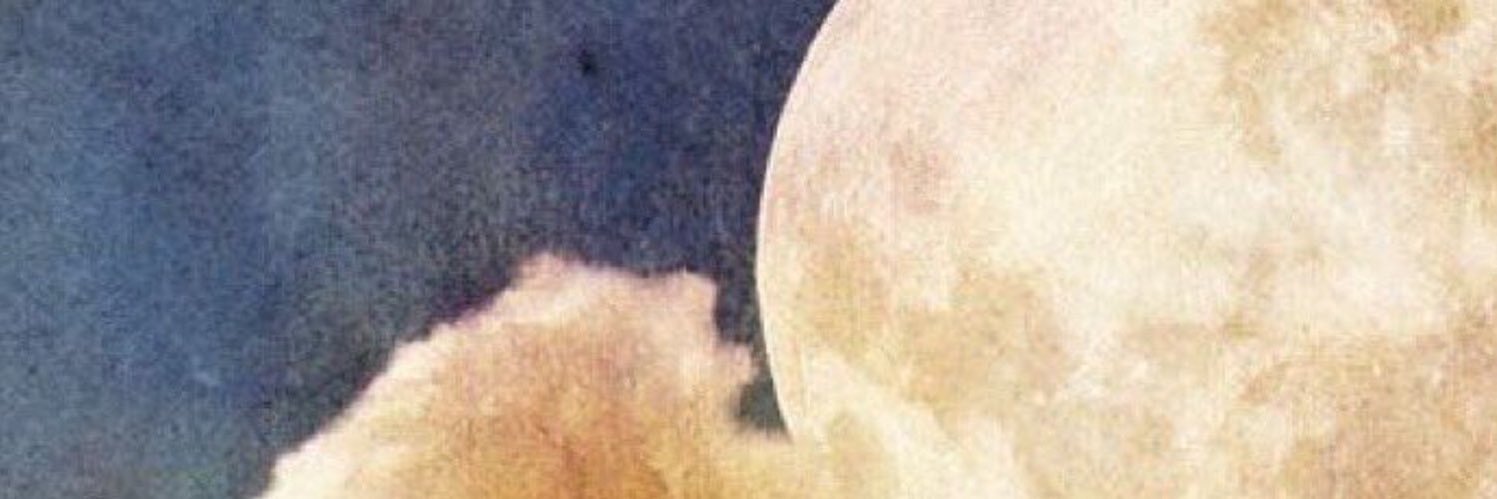 D7Error's profile banner image