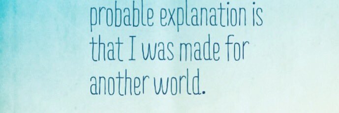 Honey Bri Bri banner