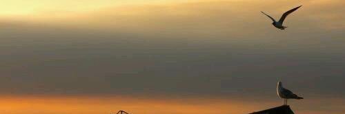 modhey_hr's profile banner image