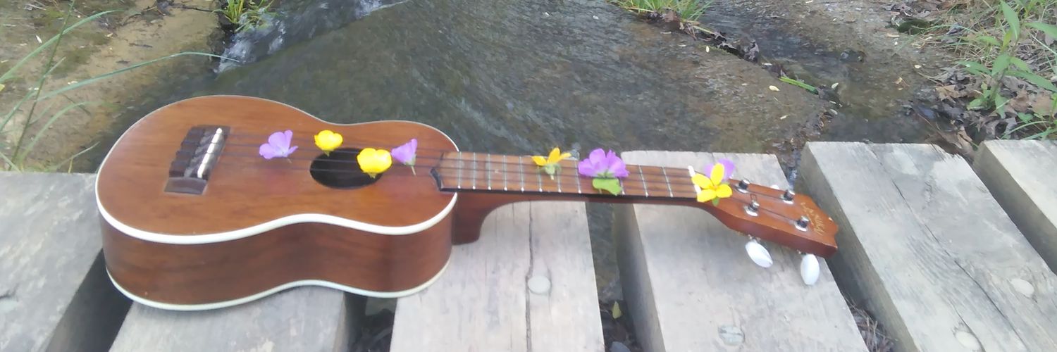 AmeliaVoo's profile banner image