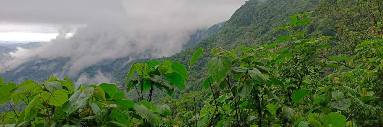 exploremkt's profile banner image