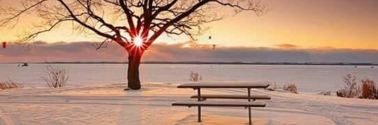 sameer21223123's profile banner image