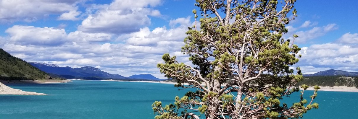 Jason Edwards banner