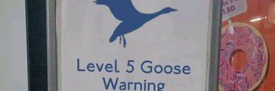 COOKED_GOOSE's profile banner image