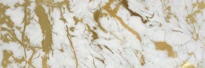 FlxralGirl's profile banner image