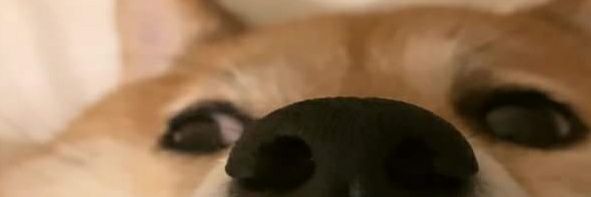 Eric_Paolillo's profile banner image