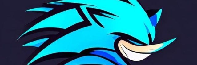 Sonic banner
