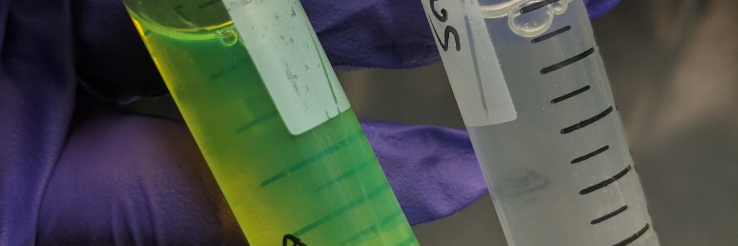 dr_madscientist's profile banner image