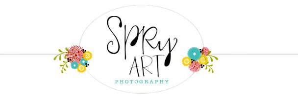 spryARTphoto's profile banner image