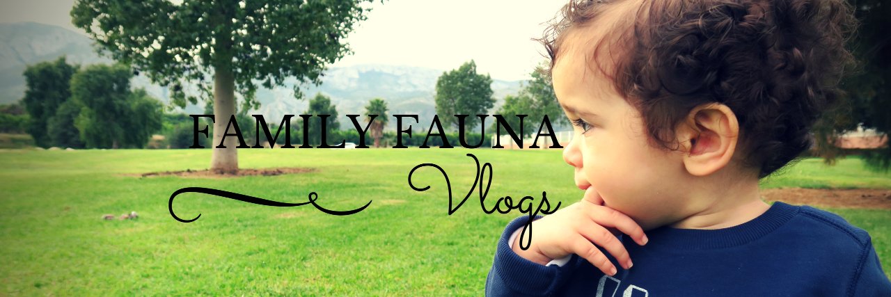 Family_Fauna's profile banner image
