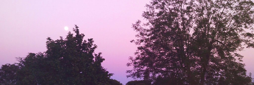_stupot's profile banner image
