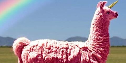 PaulaBenavidesZ's profile banner image