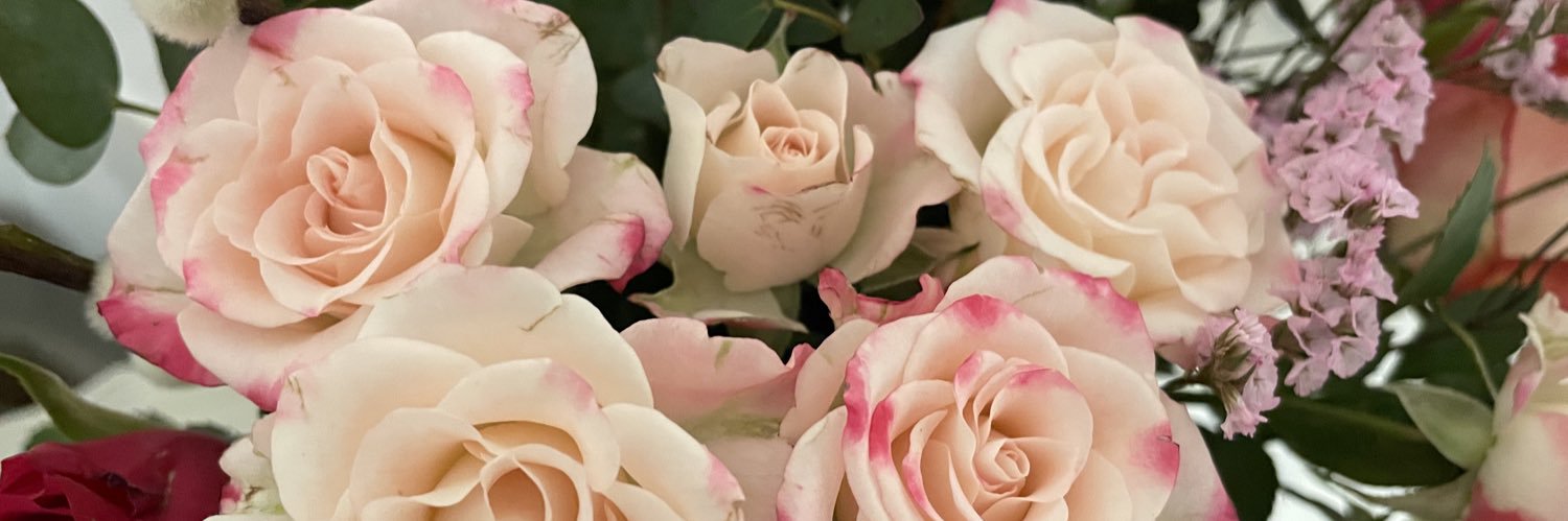 Rachel Williams banner