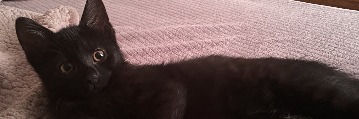 jenny_pace13's profile banner image