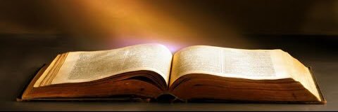 SeedsofmyFaith's profile banner image