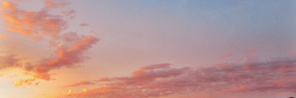 zasuscott's profile banner image