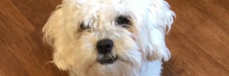 meezi1's profile banner image