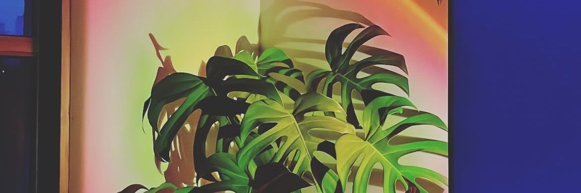 alexfatos's profile banner image
