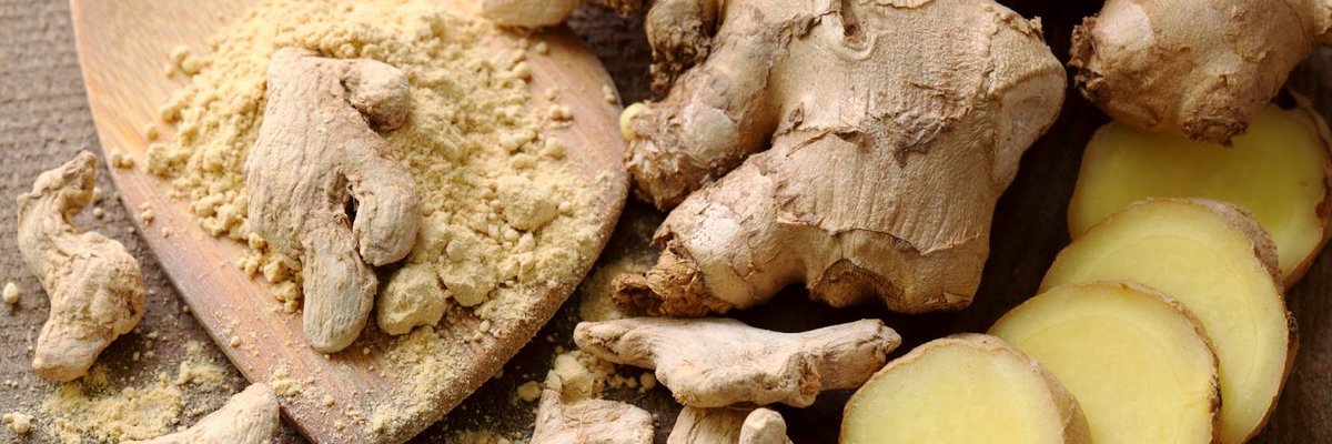 FUELFORFITFL's profile banner image
