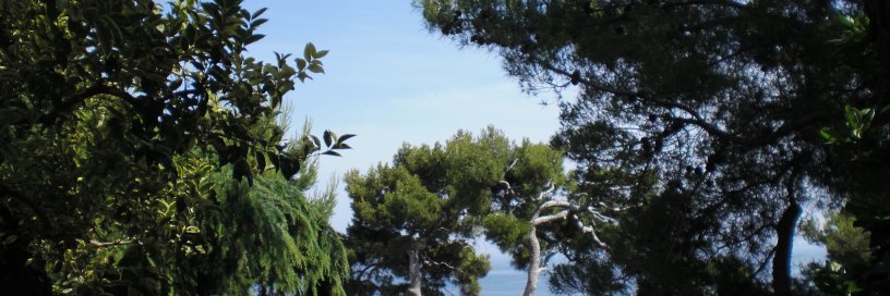 DanutaDanutal7's profile banner image