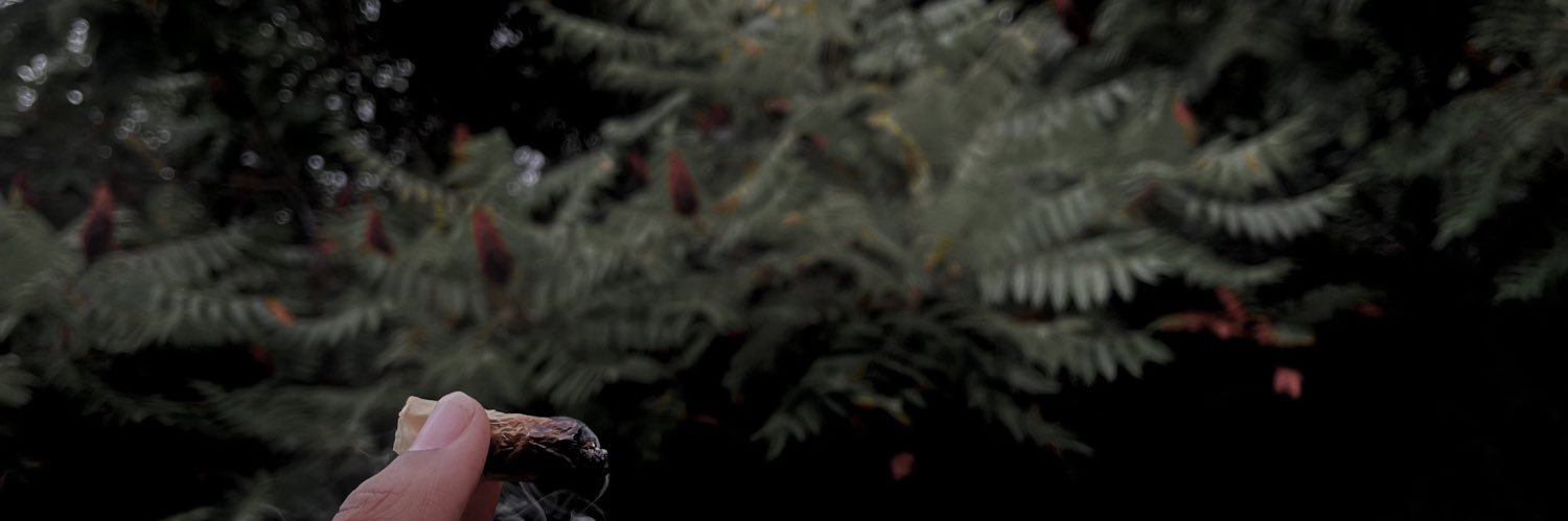 00Wopp's profile banner image